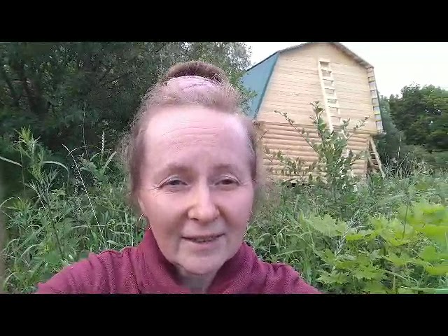 Отзыв клиента о дачном домике 5 на 5 Отзыв клиента о дачном домике 5 на 5